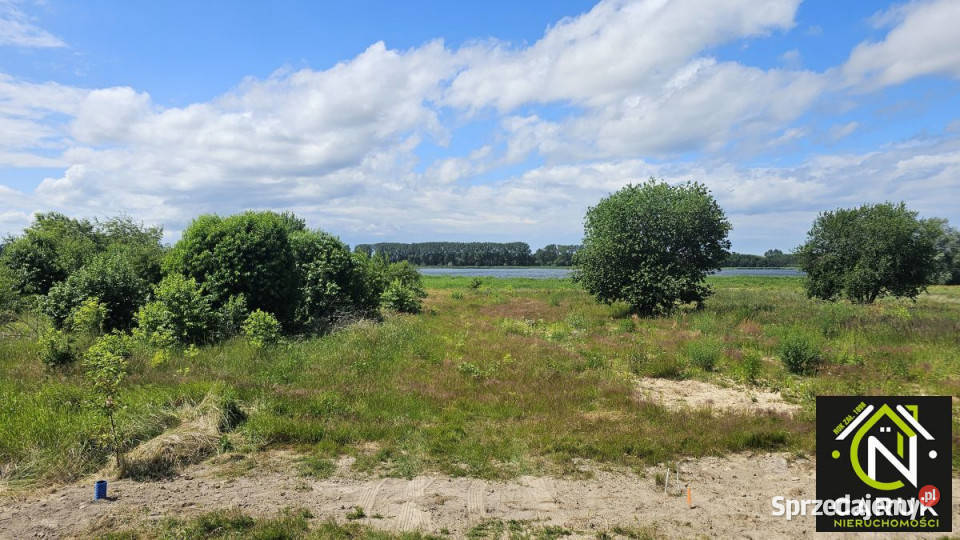 Działka 9800m2 Laska sprzedam