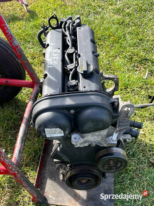 Ford Fiesta Mk7 125 16V Silnik Złoczew