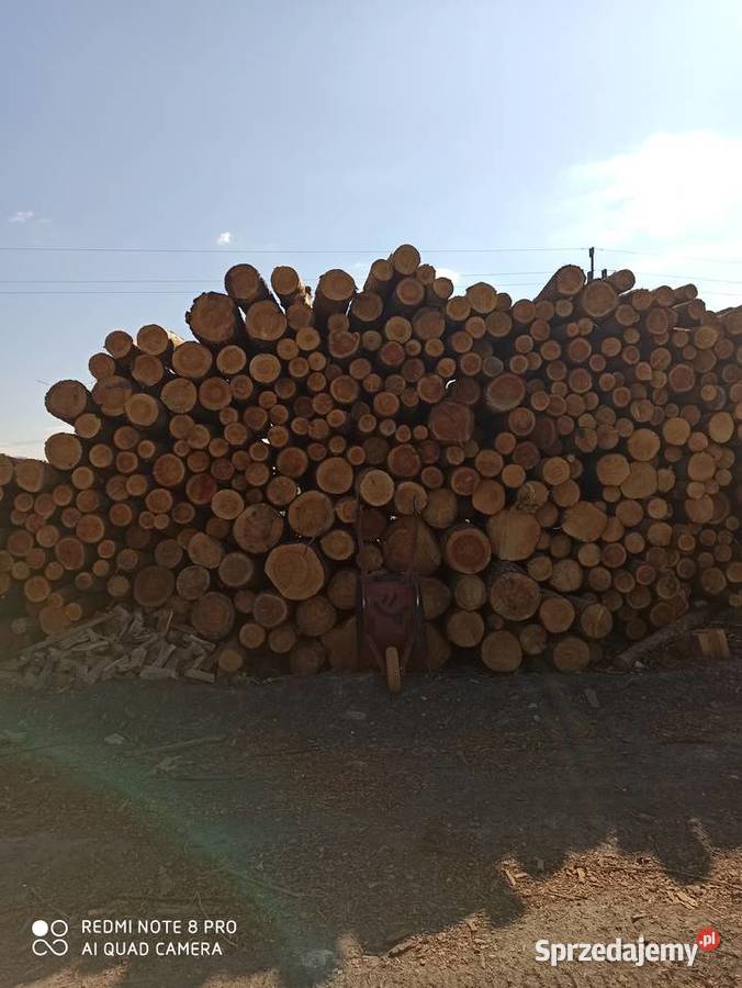 Wałki sosnowe modrzewiowe i świerkowe Leśnictwo Iłża