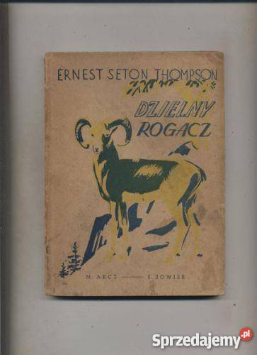 Dzielny rogacz Szczecin