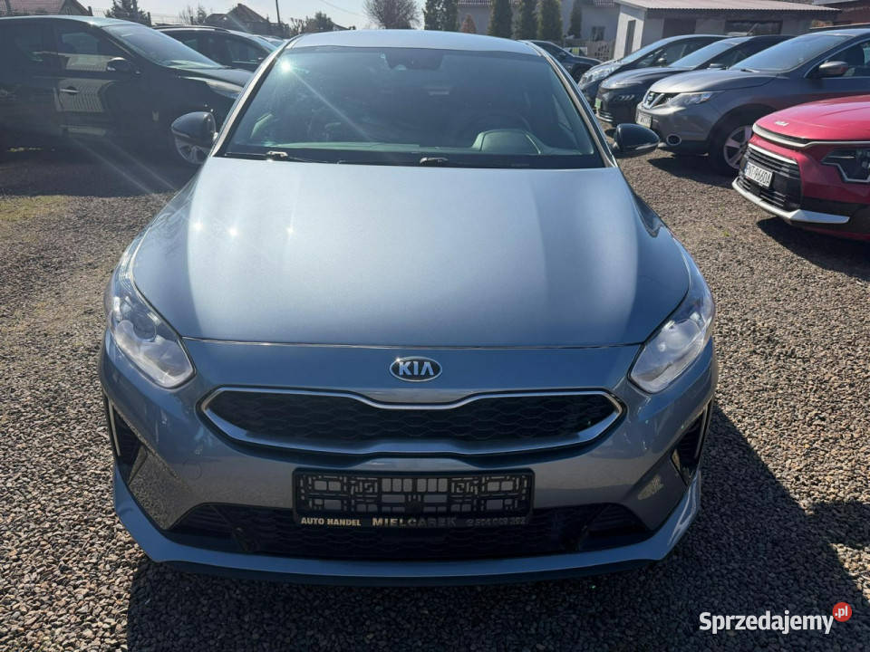Kia Pro Ceed navi klimatronic gwarancja czujnik parkowania Zbąszyń