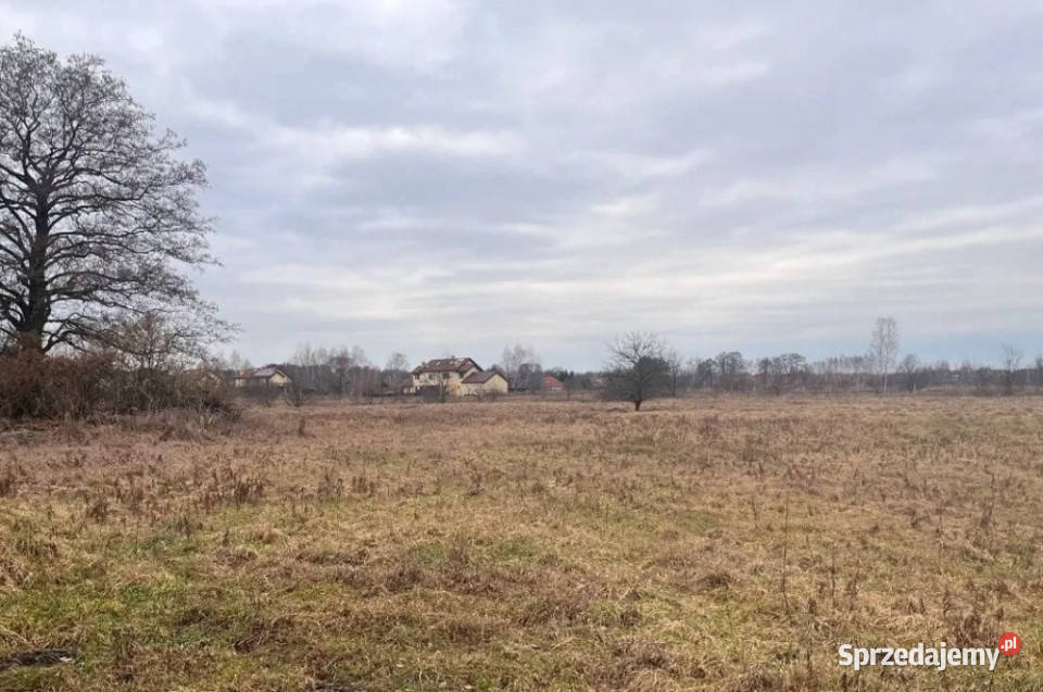 WarszawaBiałołęka Chudoby 4 działki Warszawa