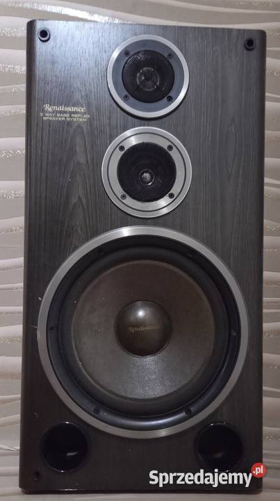 Głośniki Samsung Renaissance M1000 Yamaha NXE130 Wałbrzych