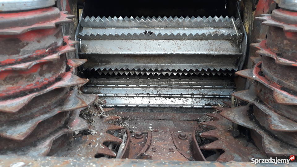 Sieczkarni do kukurydzy Newholland fx 450 Łopuszno sprzedam