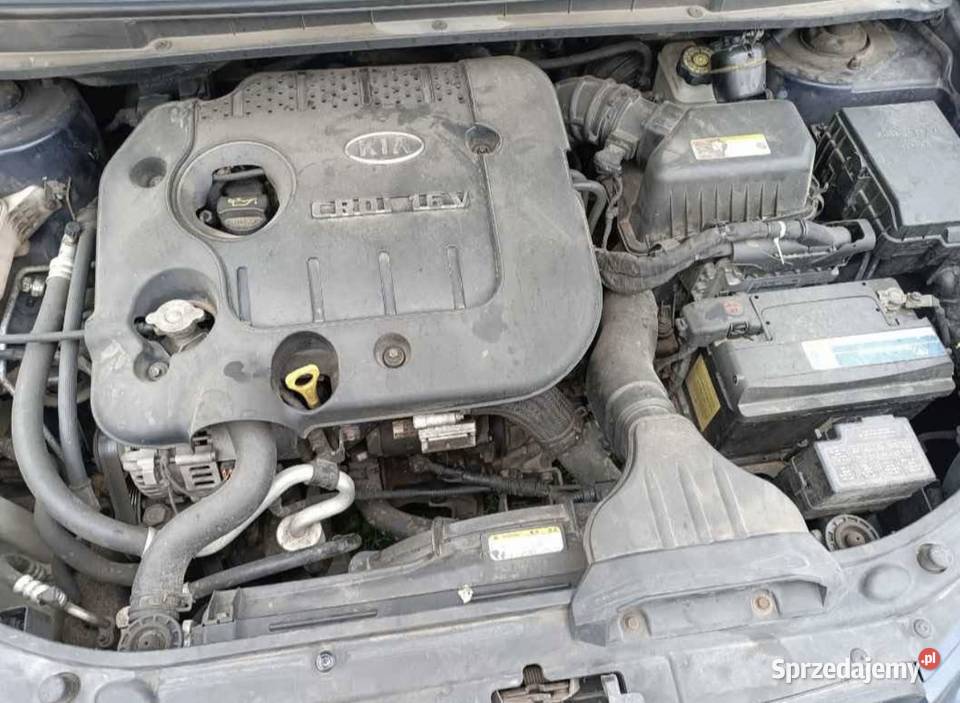 Kia carens III 4/5 Międzyleś