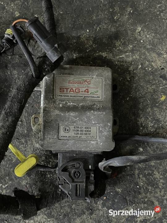 Stag 4 eco Hecznarowice