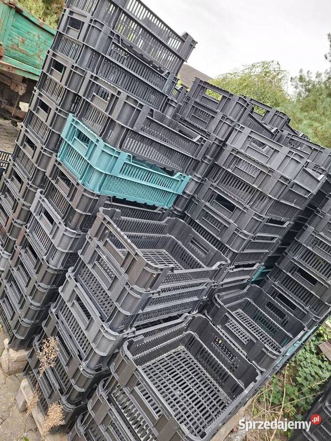 Skrzynki plastikowe owoce warzywa wielkopolskie Podzborów