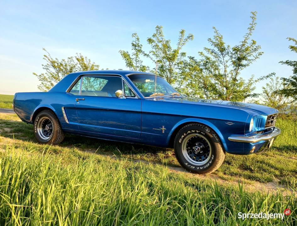 Ford Mustang 1965 v8 Manual Rok produkcji 1965