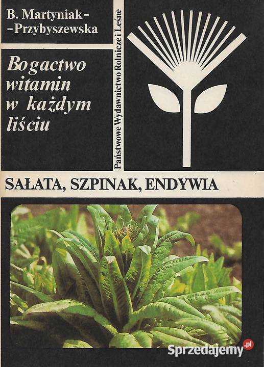 Sałata szpinak endywia B Martyniak Przybyszewska lubelskie Puławy