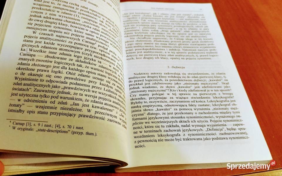 Z punktu widzenia logiki dziewięć esejów Gdańsk