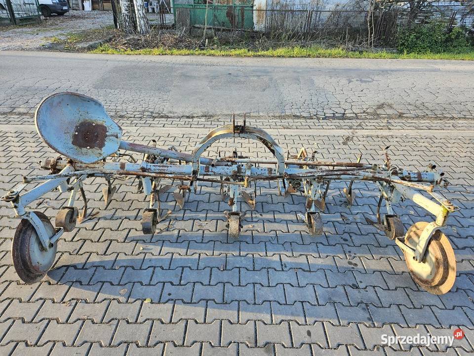 Wielorak pielnik Proszowice