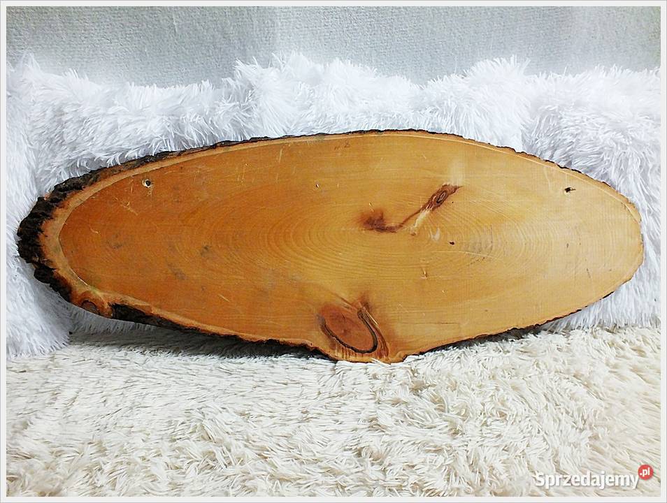 Duży Obraz ręcznie malowany na pniu drzewa Żary