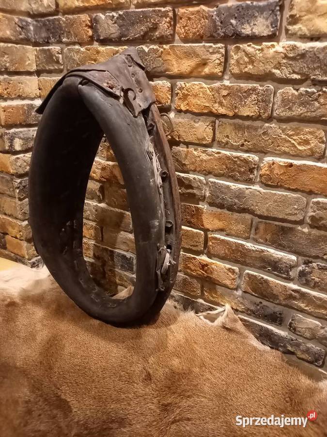 chomąto homąto homonto chomonto Gdańsk