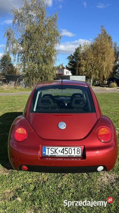 VW Beetle Garbus