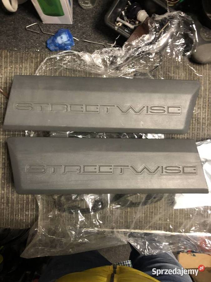 Rover Streetwise listwy