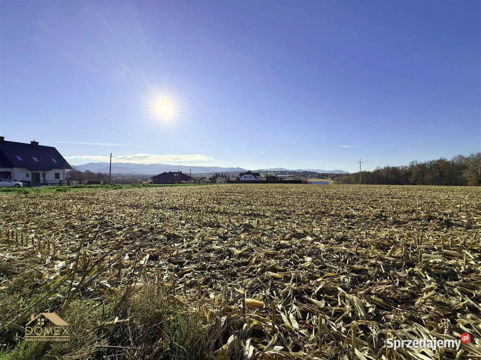 Działka Rudzica 1000m2 śląskie