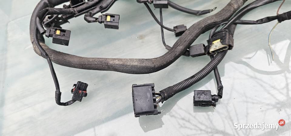 Wiązka silnika mercedes w210 32 cdi 6131500233 wielkopolskie Zbąszyń