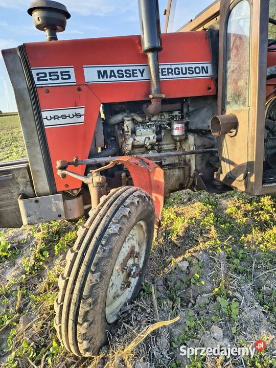 Massey Ferguson 255 świętokrzyskie Waśniów