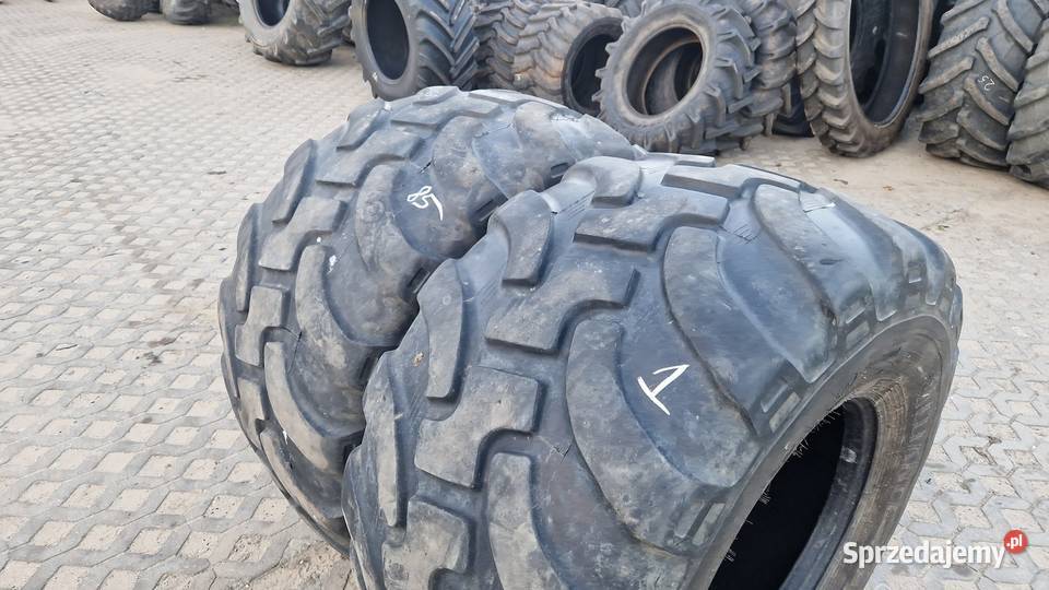 65050r225 Alliance warmińsko-mazurskie