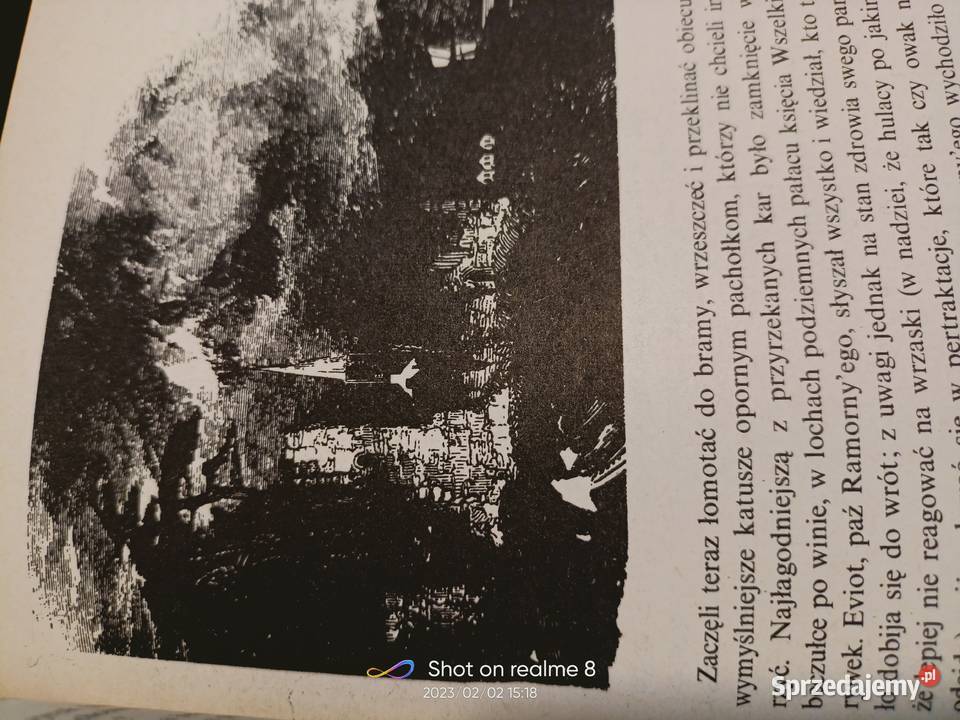 Piękne dziewczę z Perh Scott książki prezenty Kultura i Rozrywka Warszawa