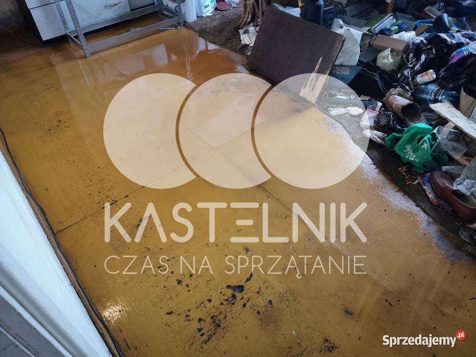 Sprzątanie zgonach Września Kastelnik Osuszanie i odgrzybianie Usługi