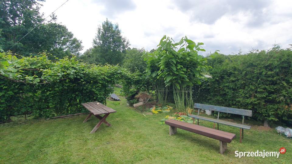 Działka ROD Plażowy w Białymstoku 600m2 domek Sprzedaż Białystok