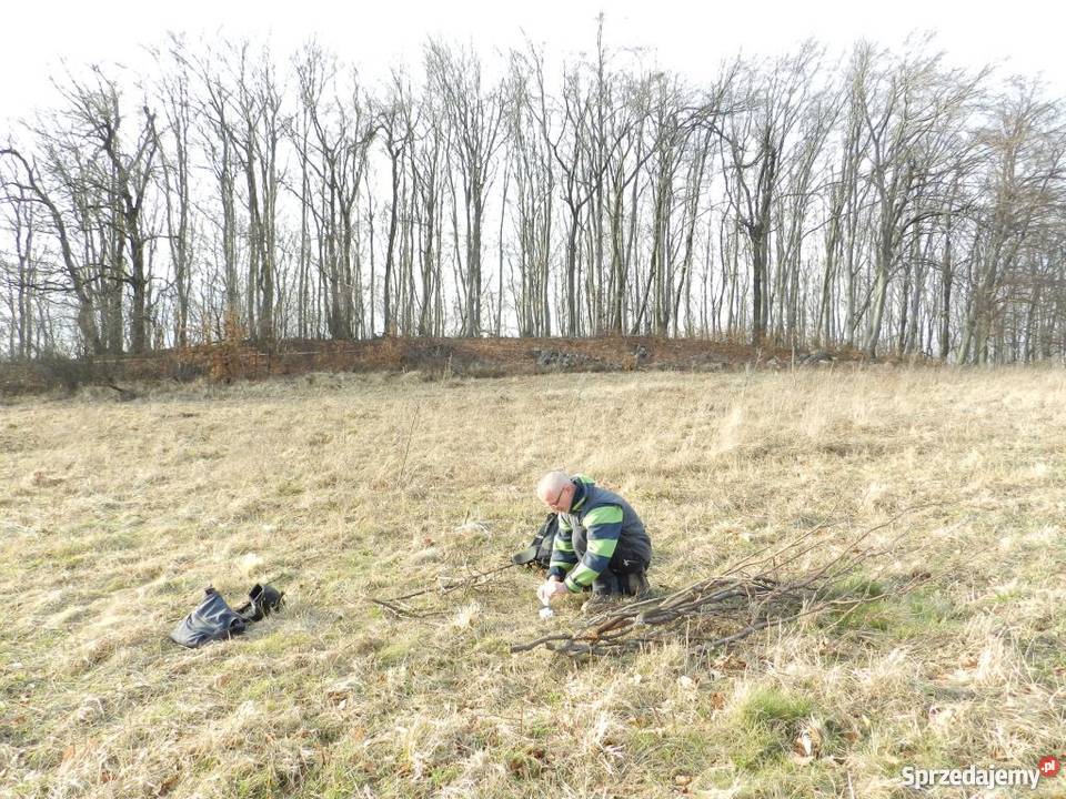 Kopysno pustka godna wypełnienia Kopysno