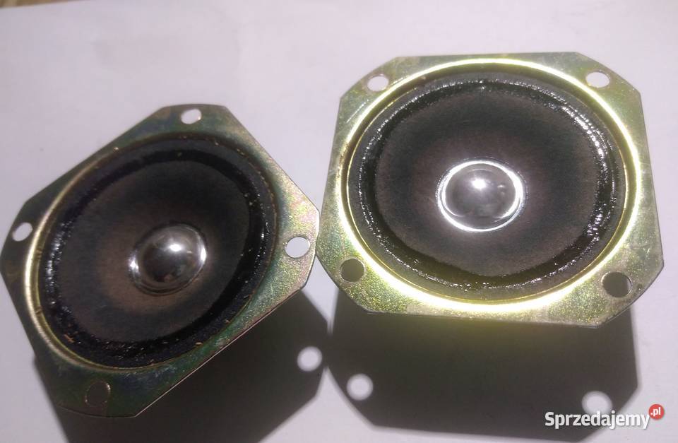 Dwa głośniki Technics EAS6PH31CV1 uszkodzone