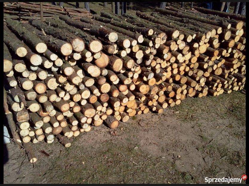 Drewno opałowe kominkowe sosna opał papierówka Białystok