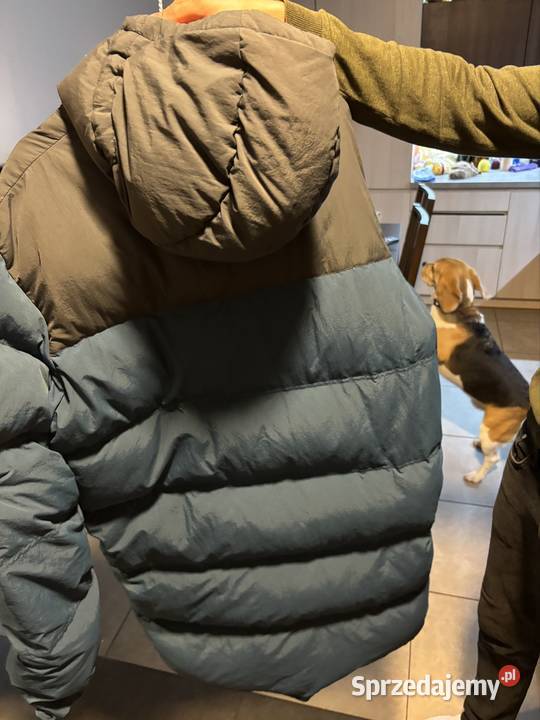 C46 Jack Wolfskin Kurtka puchowa Mężczyźni ALEX Wrocław
