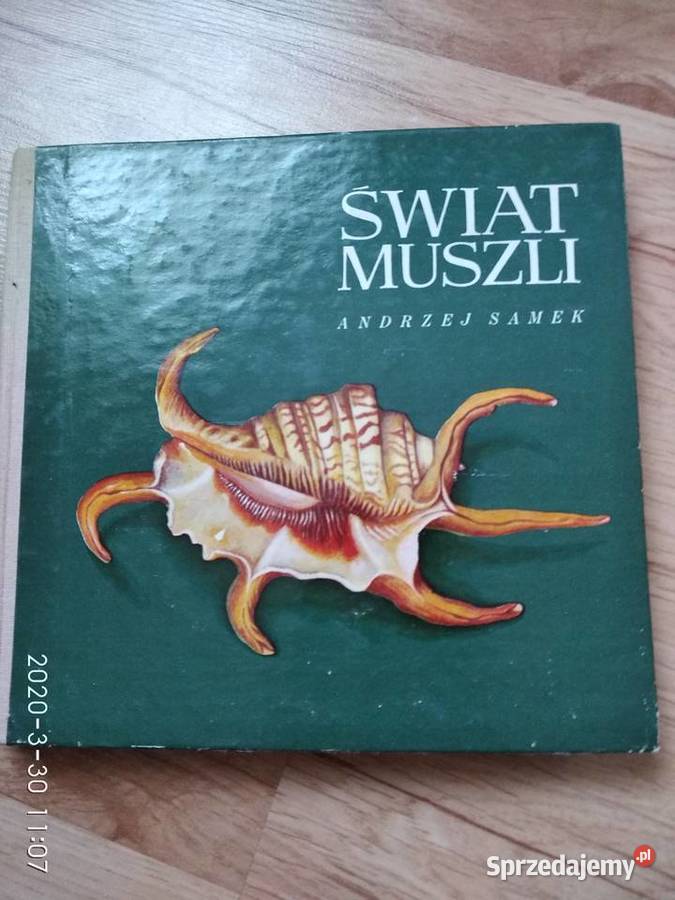 świat muszli andrzej samek Poznań
