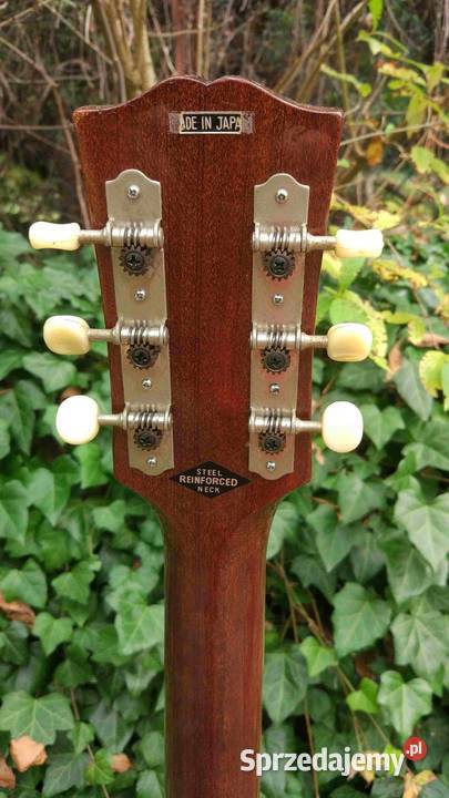 Gitara akustyczna KorSonic Japan Tuszyn sprzedam
