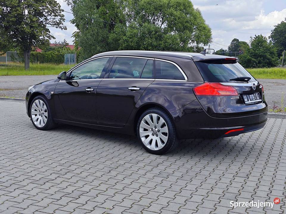 Opel Insignia 20 160 mały przebieg Dębica