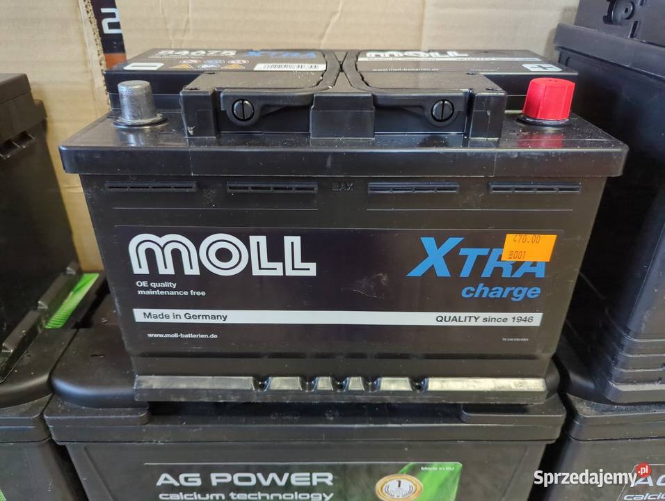 Akumulator 12V 75Ah 720A Moll Germany Akumulatory Łopuszno