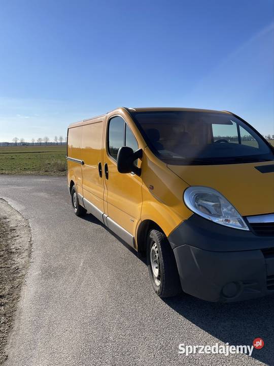 Opel vivaro 25cdti Lisowice