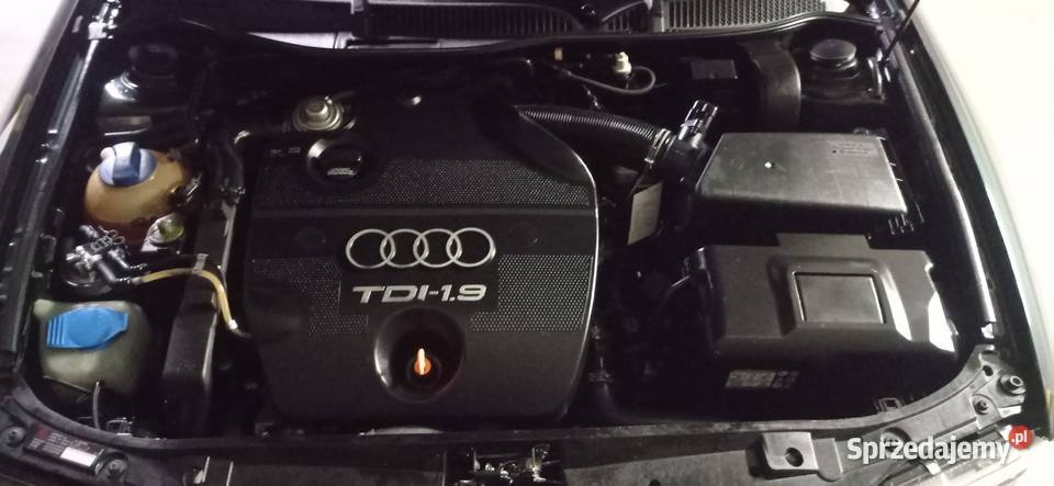 Audi A3 8L sline 5drzwi 19TDI VP 2001r diesel Zduńska Wola