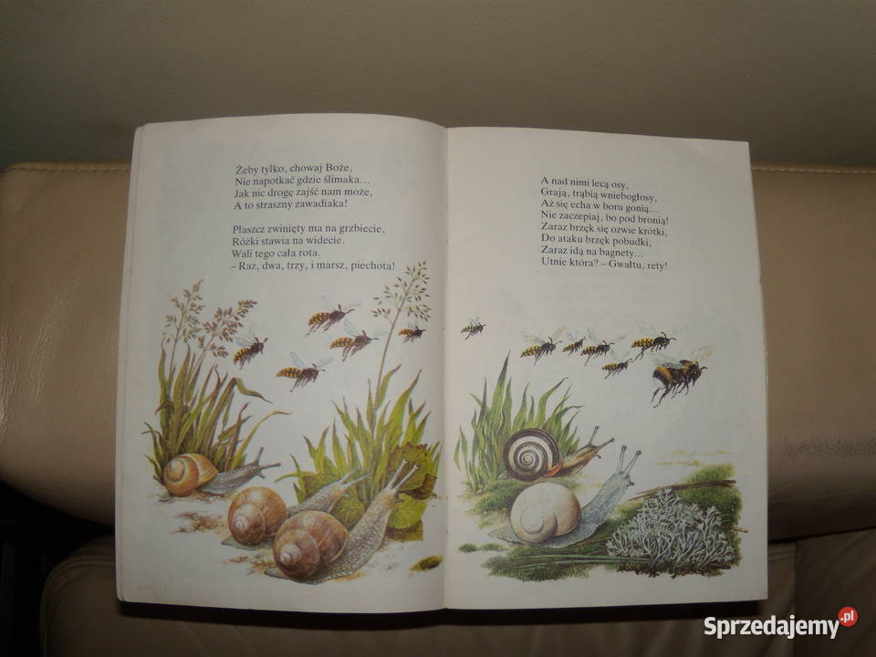 Na jagody Maria Konopnicka