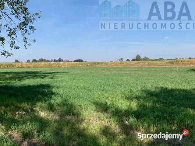 Złotkowy gm Rychwał 3 działki budowlane na wielkopolskie