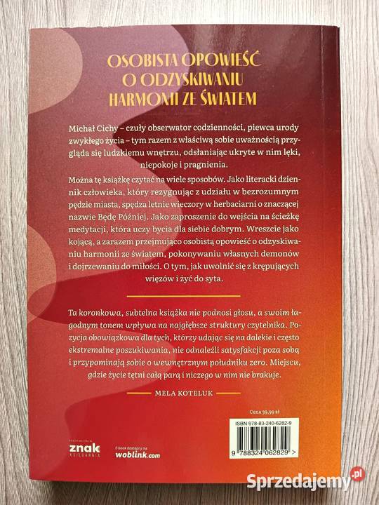 Do syta Michał Cichy Kraków