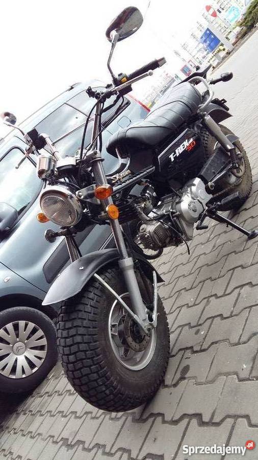 Skyteam trex 50110 Rzeszów