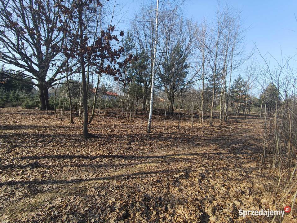Działka w Sulejówku 1700m2 Sulejówek