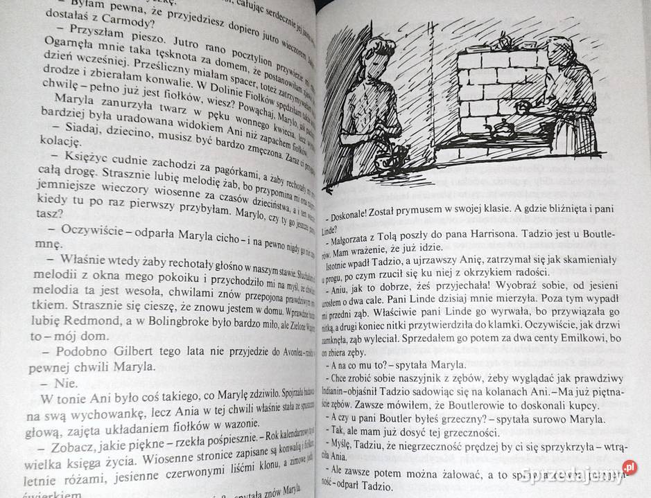 Ania na Uniwersytecie Lucy Maud Montgomery Rok wydania 2001 Chełm