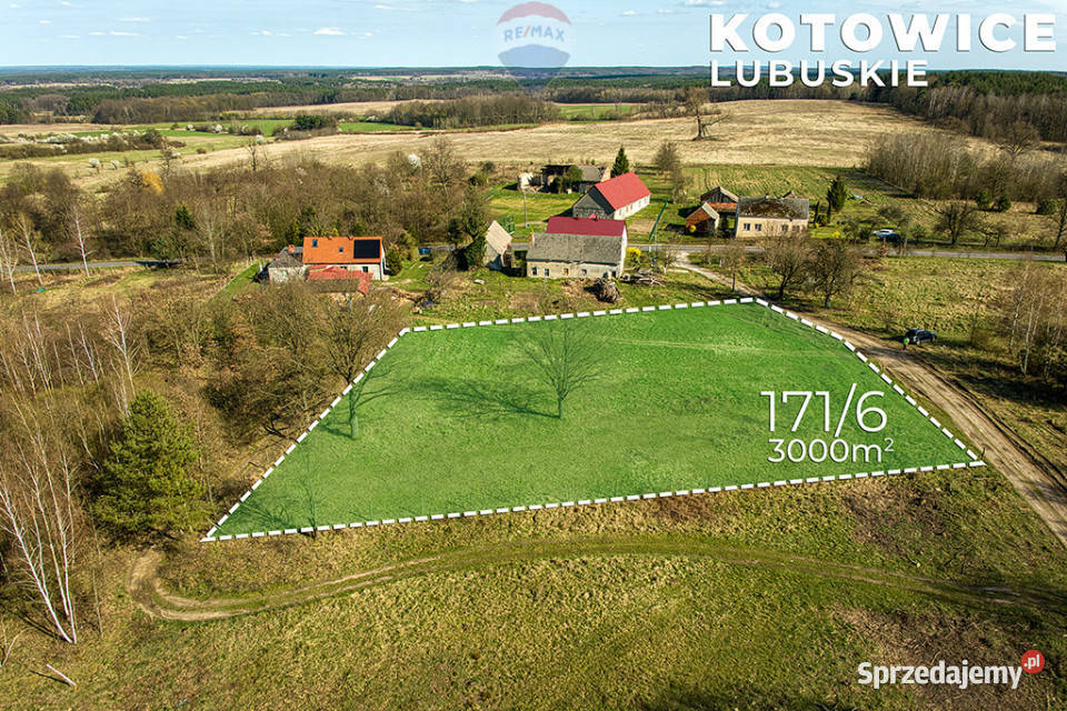 Działka w Kotowicach z warunkami zabudowy 3000m2 Kotowice