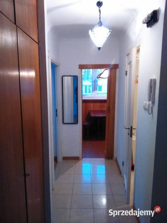Wynajmę 3y pokojowe mieszkanie w centrum 48m2 Wynajem mazowieckie Pruszków