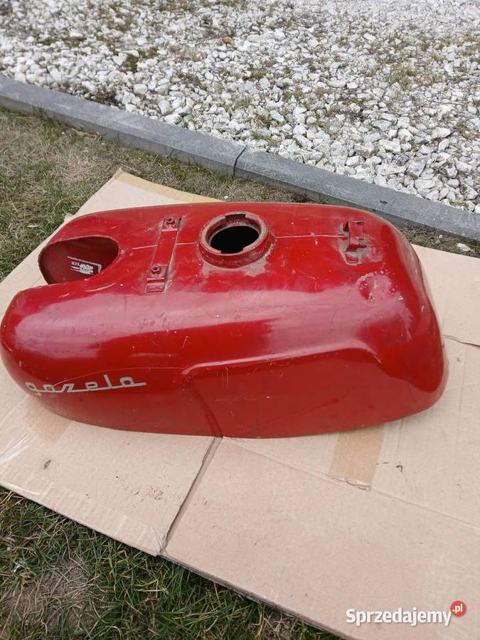 Bak gazela łódzkie Pajęczno
