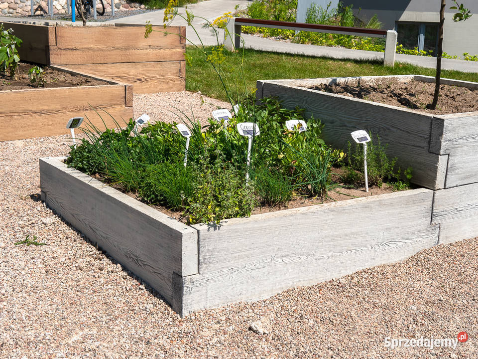 Skrzynie na warzywa do ogrodu podwyższone Rzeszów