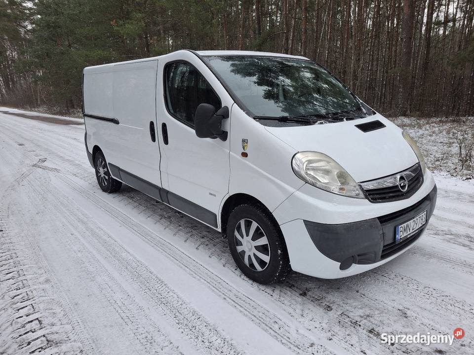 Opel Vivaro podlaskie Potoczyzna