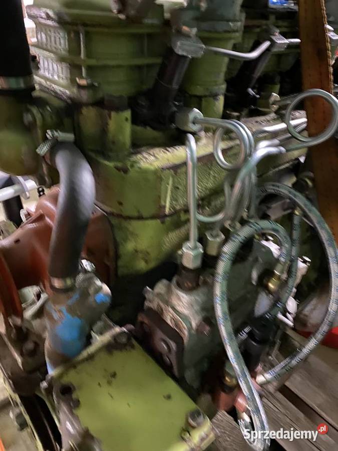 Silnik MTZ D242 80 Szklarnia