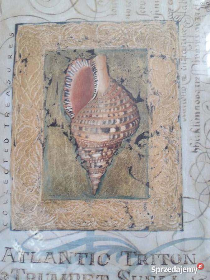 Obraz Shelly Hely Koło