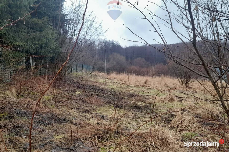 DZIAŁKA BUDOWLANA REGULICE GMINA ALWERNIA małopolskie